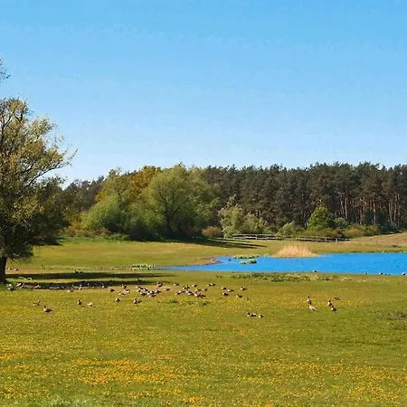 Bungalow Am See Mit Ruderboot In